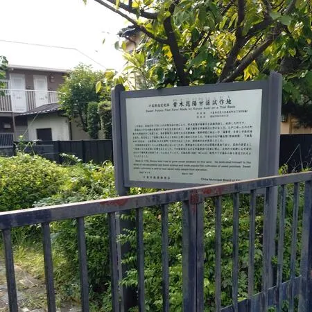 薩摩芋の普及を図り「甘藷先生」と呼...