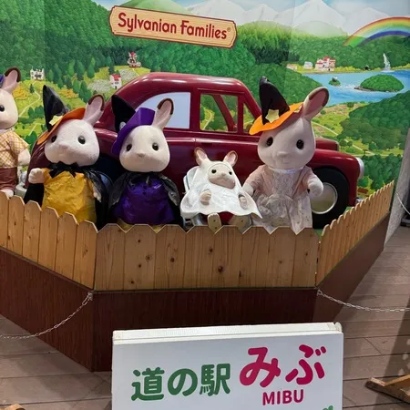 道の駅と高速のPAが一緒になってい...