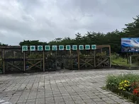 鳴沢に暫く住んだ事があるのですがこ...