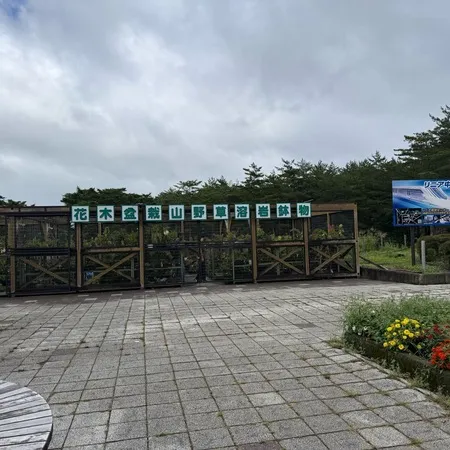 鳴沢に暫く住んだ事があるのですがこ...
