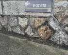 古墳にたどり着くまでワクワクしました☺️