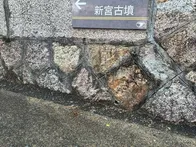 古墳にたどり着くまでワクワクしました☺️