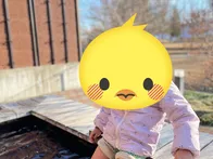 温泉、プール、足湯、無料休憩所、マ...