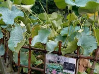 親子イベントに参加しました。