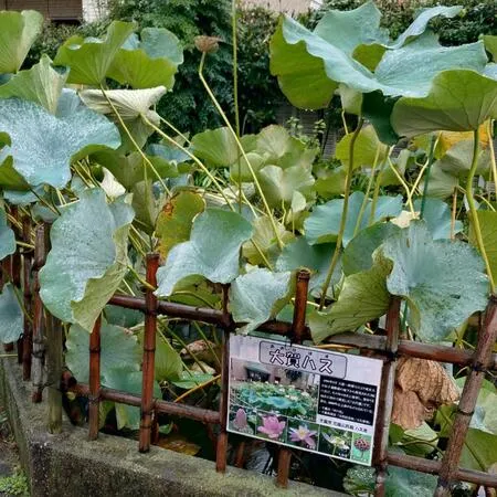親子イベントに参加しました。