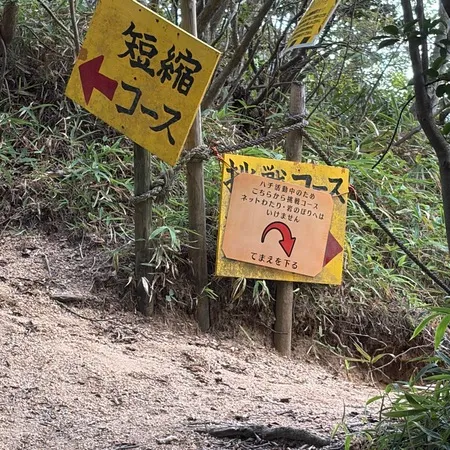 山の中のアスレチック。スタートから...