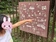 山の中のアスレチック。スタートから...