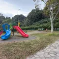 遊具がとても多く、たくさん遊べると...