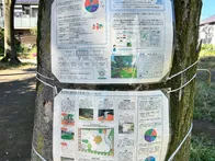 奥沢8丁目の住宅街にある公園です。...