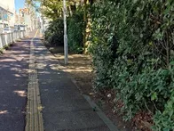 川沿いの緑地のある歩道です。