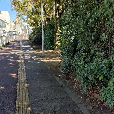 川沿いの緑地のある歩道です。