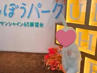 ▼おすすめポイント