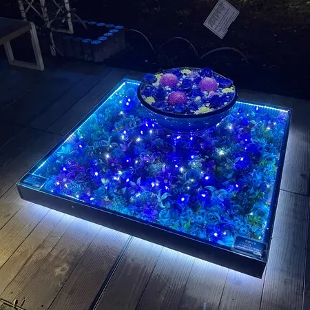 平日の夜に行きました。ご飯を事前に...