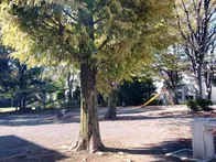 広いです。住宅街の中です。踏切が近...