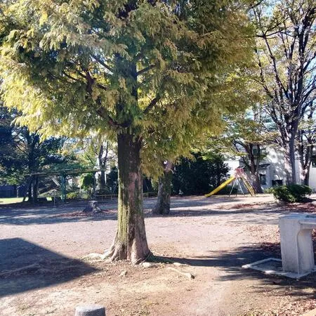 広いです。住宅街の中です。踏切が近...