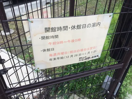 化石発掘
