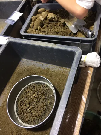 化石発掘