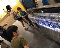 【ユーザ投稿】 夏休み終わって少し涼しくなったので...