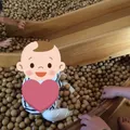 諫早市こどもの城