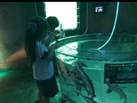 流氷科学センター近くから無料の送迎...