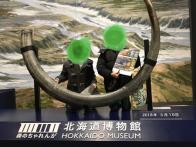 北海道博物館！