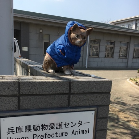 ユーザ投稿 3歳女児と訪問 兵庫県動物愛護センターの写真 子供とお出かけ情報 いこーよ