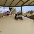 五條中央公園