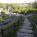 あいち健康の森公園