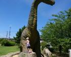 ハマナス恐竜公園