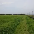 浦安市総合公園