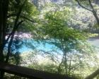 田沢湖から近くの渓谷です。