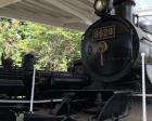 蒸気機関車の展示が多い公園です。