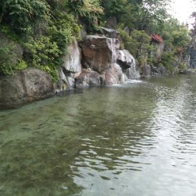 釣れて美味しい 滝のある釣堀 那須高原 清流の里の口コミ By Yutopapaさん 子供とお出かけ情報 いこーよ