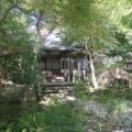 鎌倉散歩のディープな穴場！苔むしたお庭を歩きながら境内を解説付きで散策。