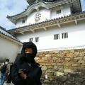 掛川城まつりで忍者体験