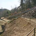 早島町ふれあいの森公園