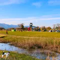 県営びわこ地球市民の森