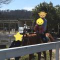 ３歳の娘と一緒に乗馬体験しました。