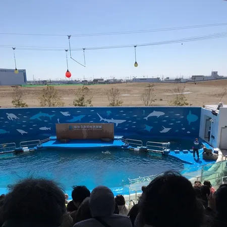 わりとこじんまりとした水族館です。
