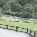 山梨県立まきば公園
