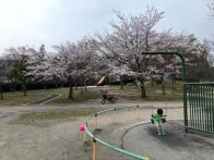 緑豊かで桜も綺麗！子供たちものびのび遊べます！