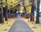 武蔵野神社