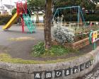 高田ひまわり公園