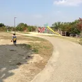 道の駅 しらとりの郷羽曳野