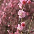 名古屋市農業センターdela（でら）ふぁーむ