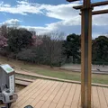 都筑中央公園