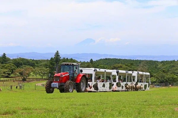動物とふれあう！遊園地やグルメも充実♪』マザー牧場の最新情報 