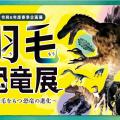 羽毛恐竜展〜羽毛をもつ恐竜の進化〜