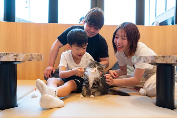 大人気おやつ「550円⇒無料」クーポン！』猫カフェMOCHA（モカ）イオン