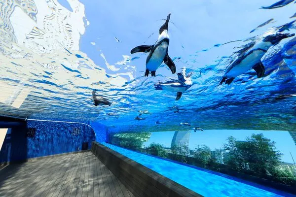 大人」も「子ども」も楽しい水族館！』サンシャイン水族館の最新情報 
